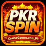 PKR Spin Game
